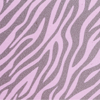 Baby_pink_zebra
